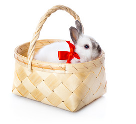 Similar image 367319