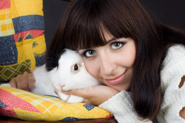 Similar image 367334