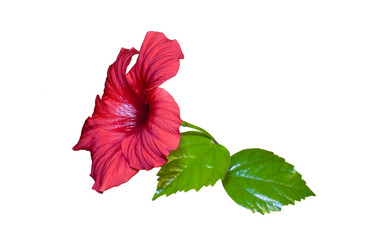 Similar image 367340