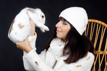 Similar image 367353