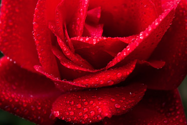 Similar image 367379