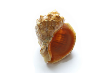 Similar image 367397