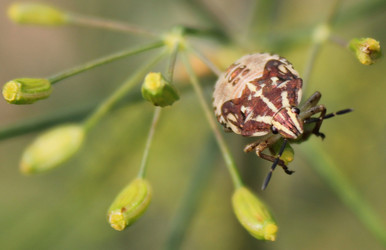 Similar image 367399