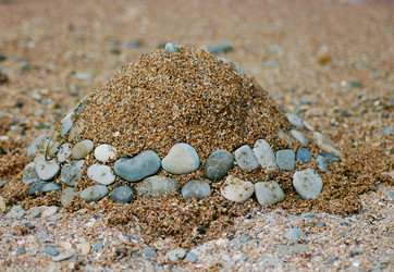 Similar image 367446