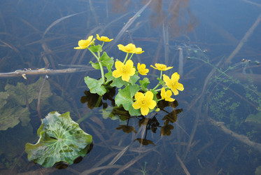 Similar image 367457