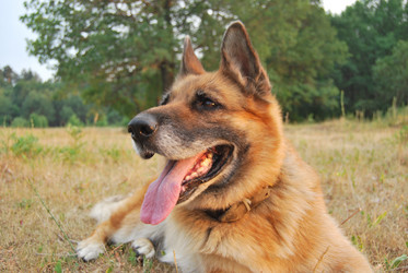 Similar image 367461