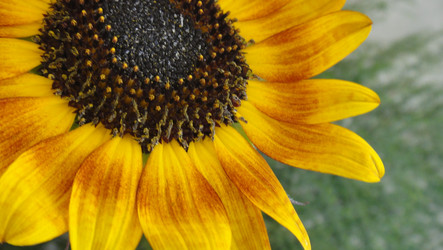 Similar image 367515