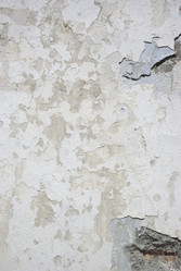 Similar image 367533