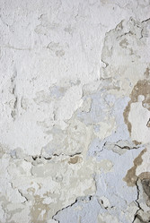 Similar image 367719