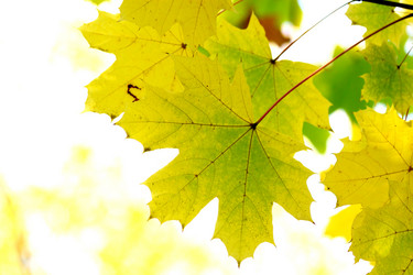 Similar image 367721