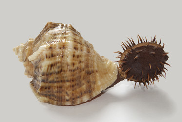 Similar image 367747