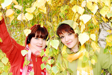 Similar image 367883