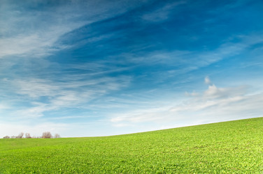 Similar image 367888