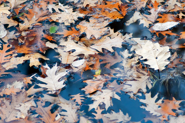 Similar image 367901