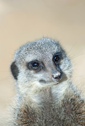 Similar image 367937