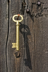 Similar image 367981