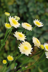 Similar image 368022