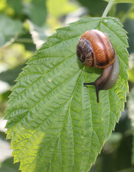 Similar image 368079