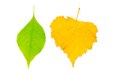 Similar image 368088