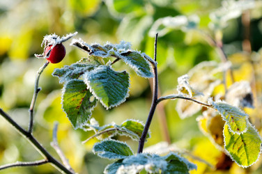 Similar image 368092