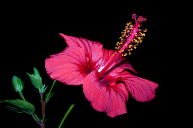 Similar image 368125