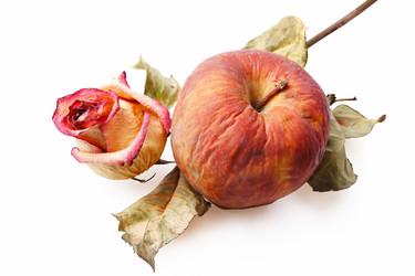 Similar image 368144