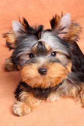 Similar image 368145