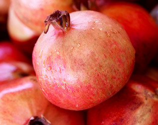 Similar image 368258