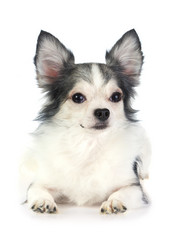 Similar image 368267