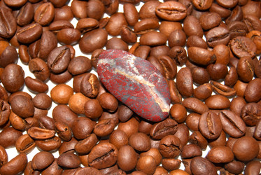 Similar image 368305