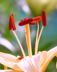 Similar image 368343