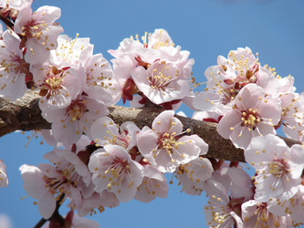 Similar image 368361