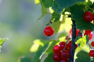 Similar image 368384