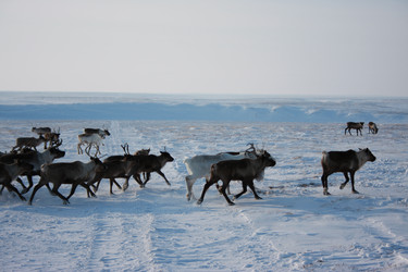 Similar image 368388