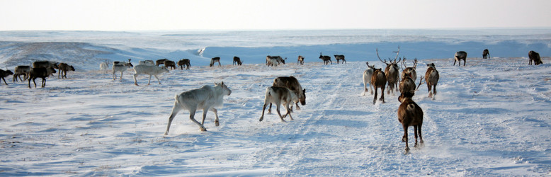 Similar image 368391