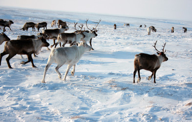 Similar image 368392