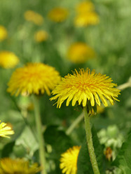 Similar image 368434