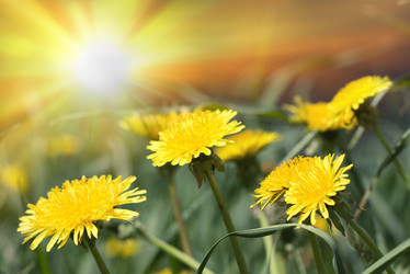 Similar image 368572