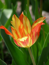 Similar image 368573