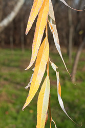 Similar image 368576