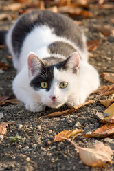 Similar image 368583