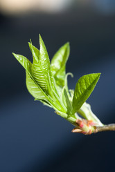 Similar image 368596