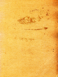 Similar image 368598