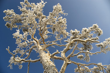 Similar image 368614