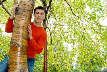 Similar image 368622