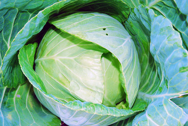 Similar image 368626