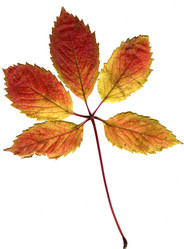 Similar image 368658