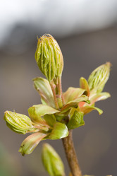 Similar image 368659