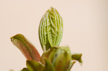 Similar image 368661