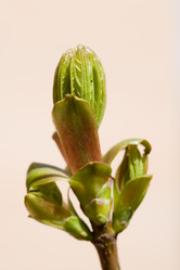 Similar image 368666